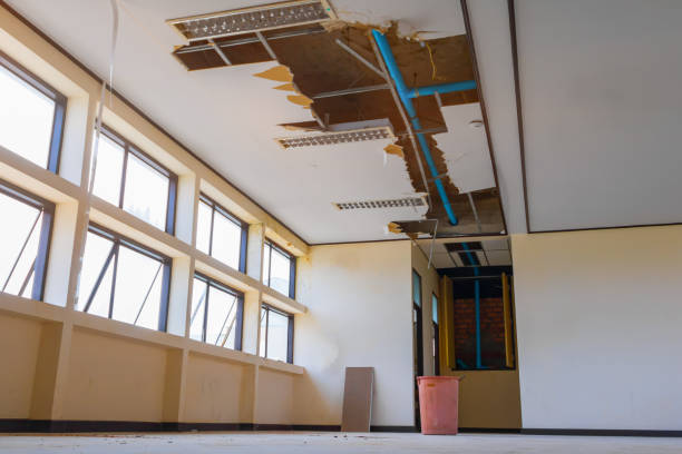 Best Residential water damage restoration  in Ashwaubenon, WI