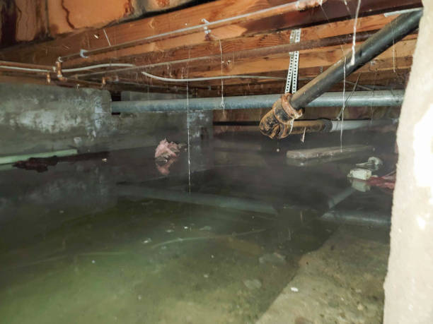 Best Residential water damage restoration  in Ashwaubenon, WI