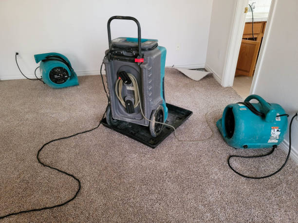 Best Basement water damage restoration  in Ashwaubenon, WI