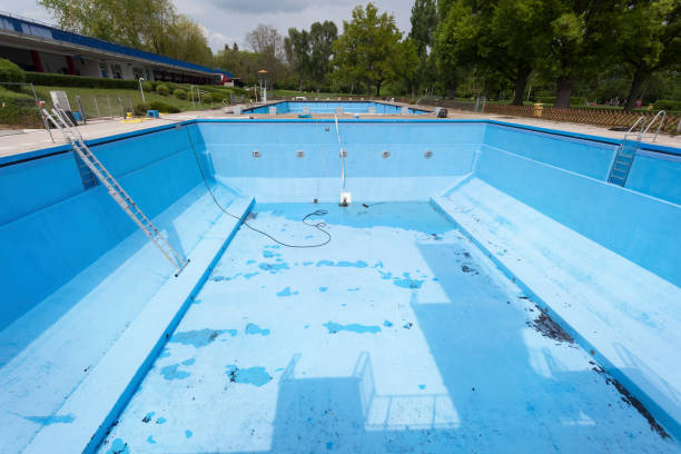 Best Professional water damage repair  in Ashwaubenon, WI