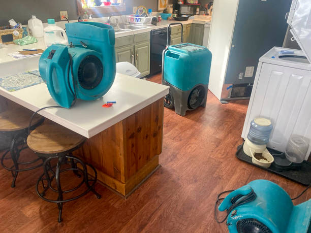 Best Emergency water damage restoration  in Ashwaubenon, WI