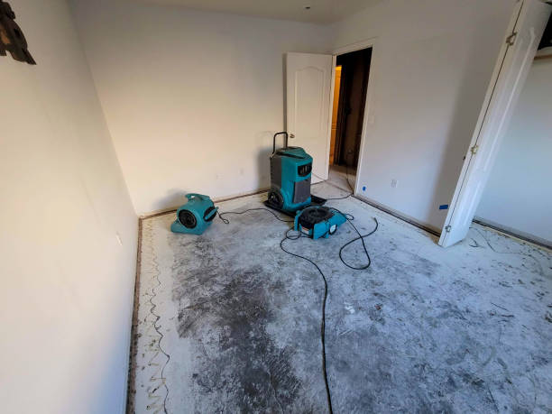 Best Fire Damage Restoration  in Ashwaubenon, WI