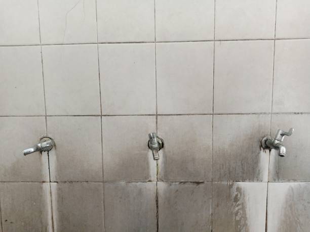 Best Water damage restoration mold remediation  in Ashwaubenon, WI