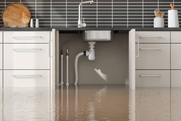 Best Flood restoration services  in Ashwaubenon, WI
