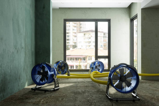 Best Local water damage restoration  in Ashwaubenon, WI